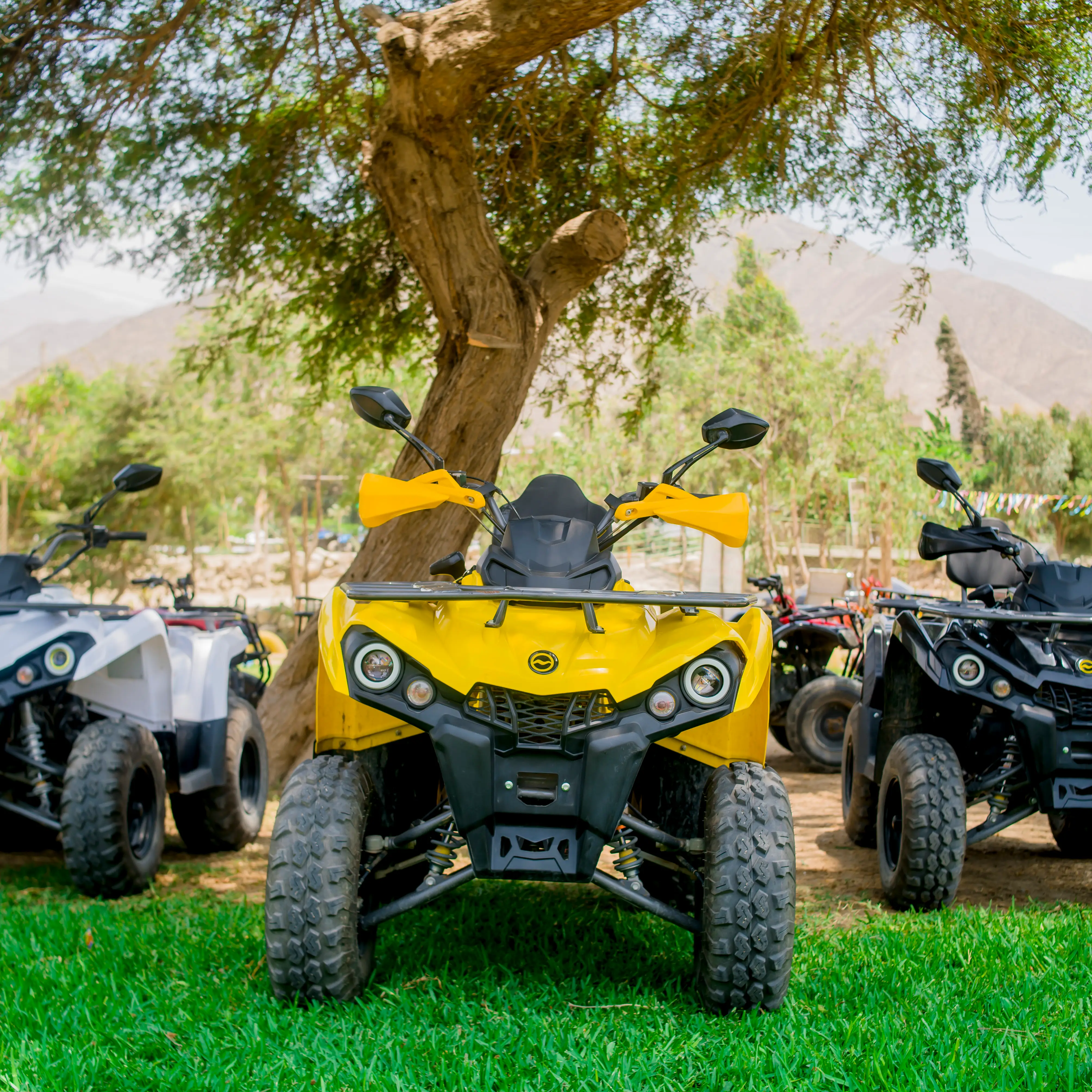 Servicio de Cuatrimotos