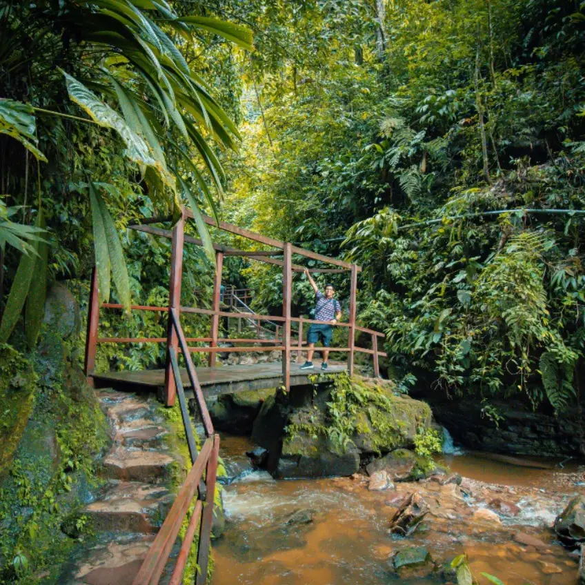 TOUR CATARATAS DE AHUASHIYACU
