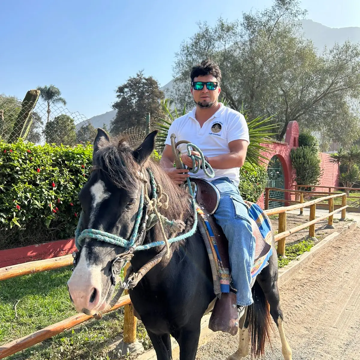 🐎 Paseo a Caballo